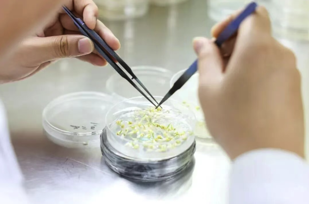 截屏2025-11-10 14.12.06.png