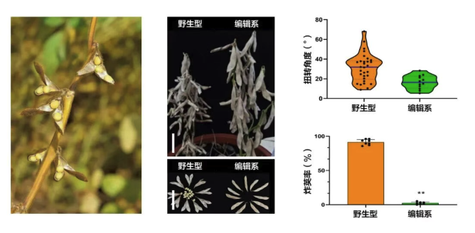 截屏2025-11-10 14.12.11.png